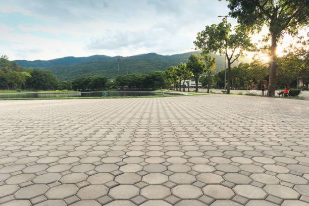 Best Permeable Paver Driveway  in Colfax, LA